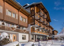 APARTHOTEL FERIENALM    ( SCHLADMING )